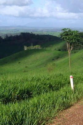 Atherton Tablelands